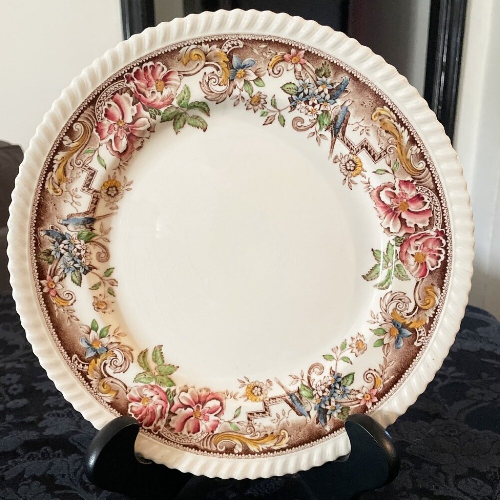 Devonshire Multicolor China Dinner Plate by Johnson Brothers